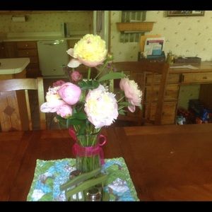 Meet your Posher, Jane ann